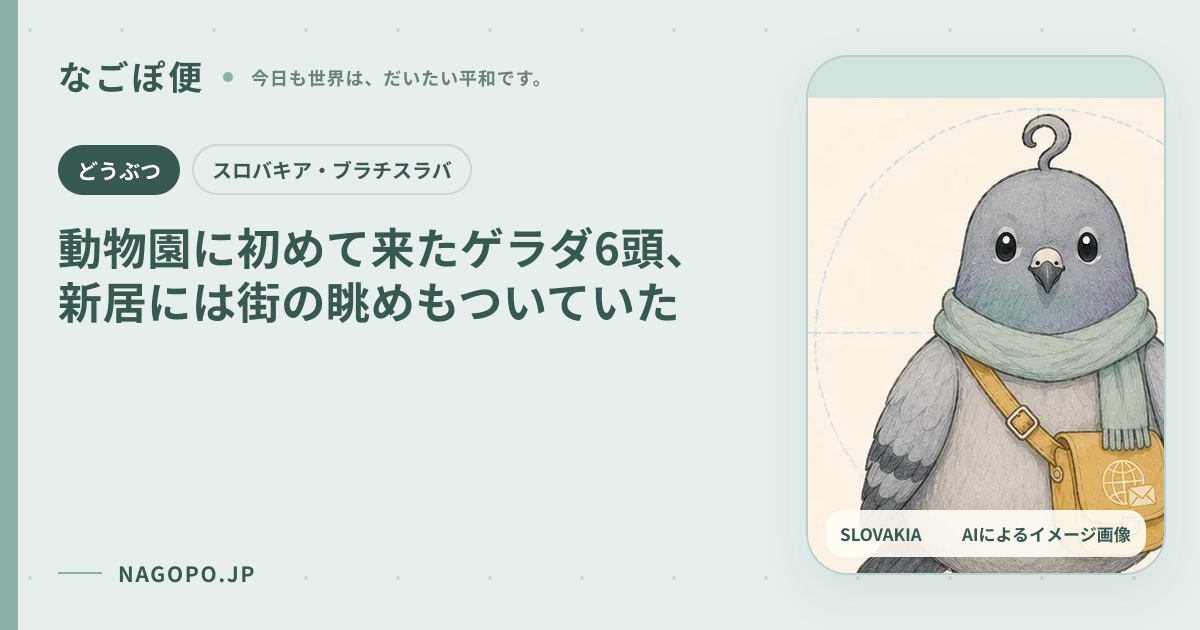 動物園に初めて来たゲラダ6頭、新居には街の眺めもついていたのAIによるイメージ画像