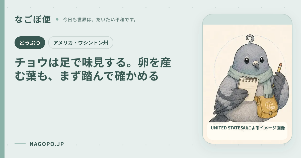チョウは足で味見する。卵を産む葉も、まず踏んで確かめるのAIによるイメージ画像
