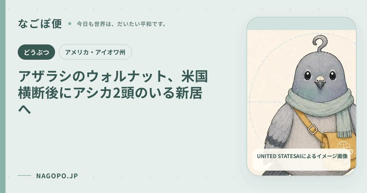 アザラシのウォルナット、米国横断後にアシカ2頭のいる新居へのAIによるイメージ画像